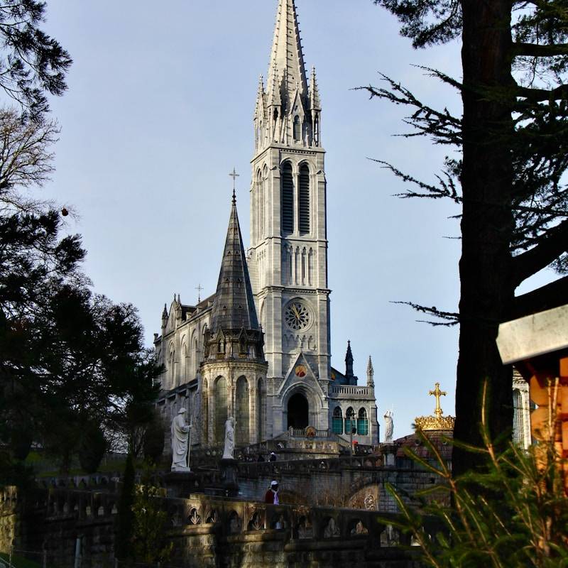 A large cathedral towering over a lush green park