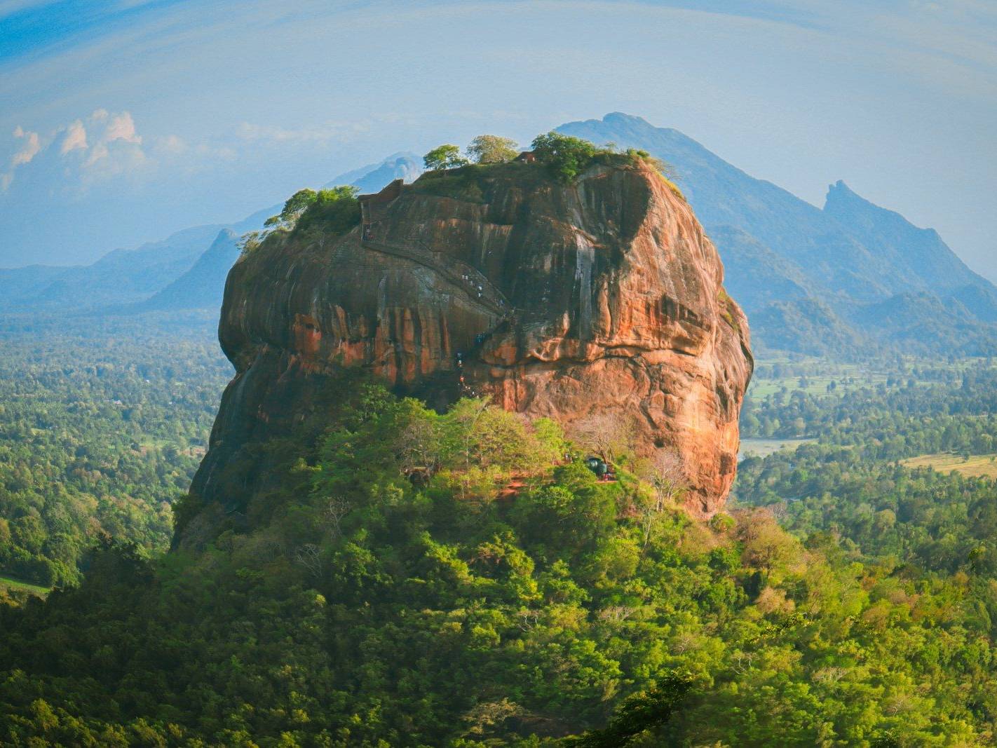 a large rock in the middle of a forest
