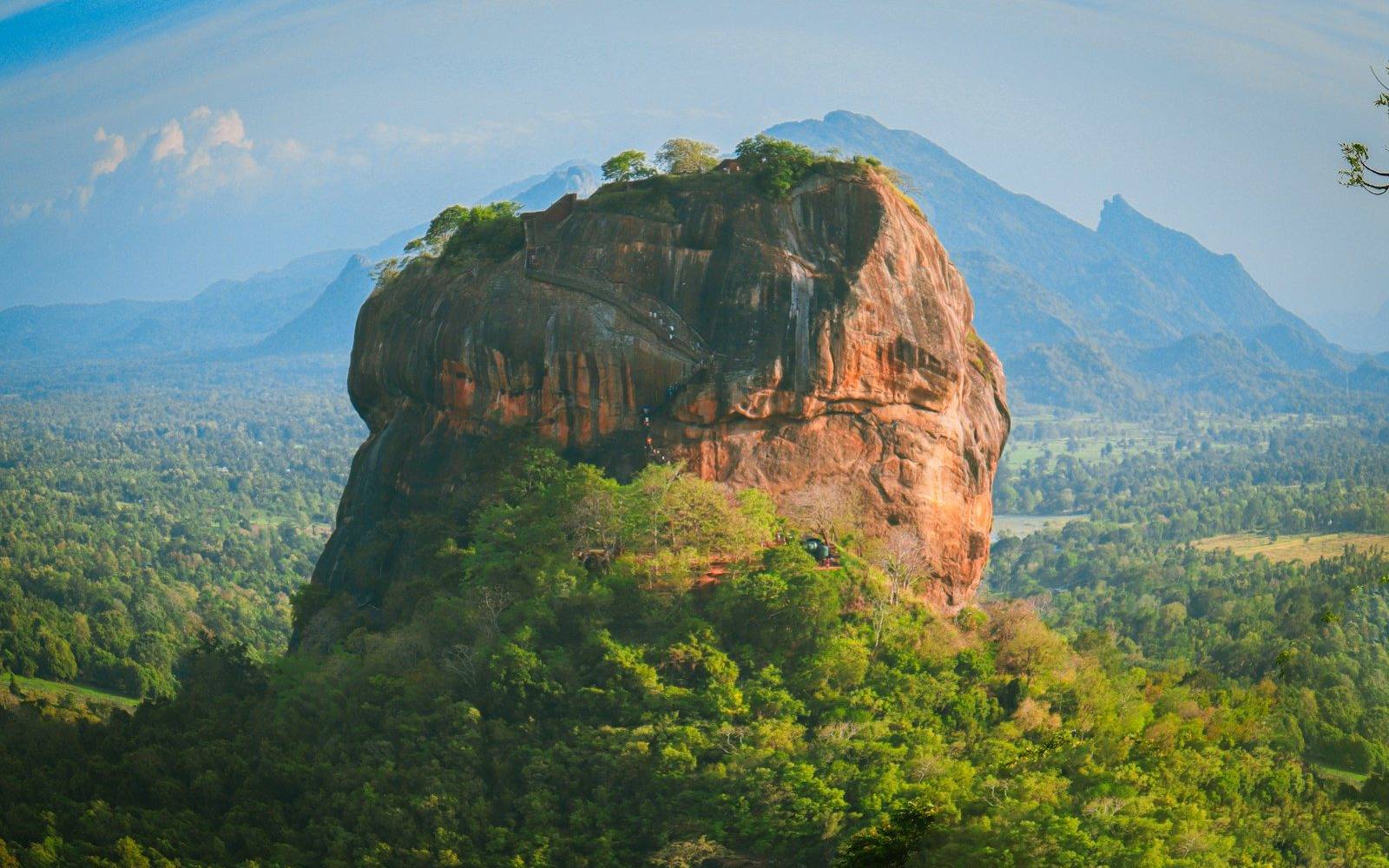 a large rock in the middle of a forest
