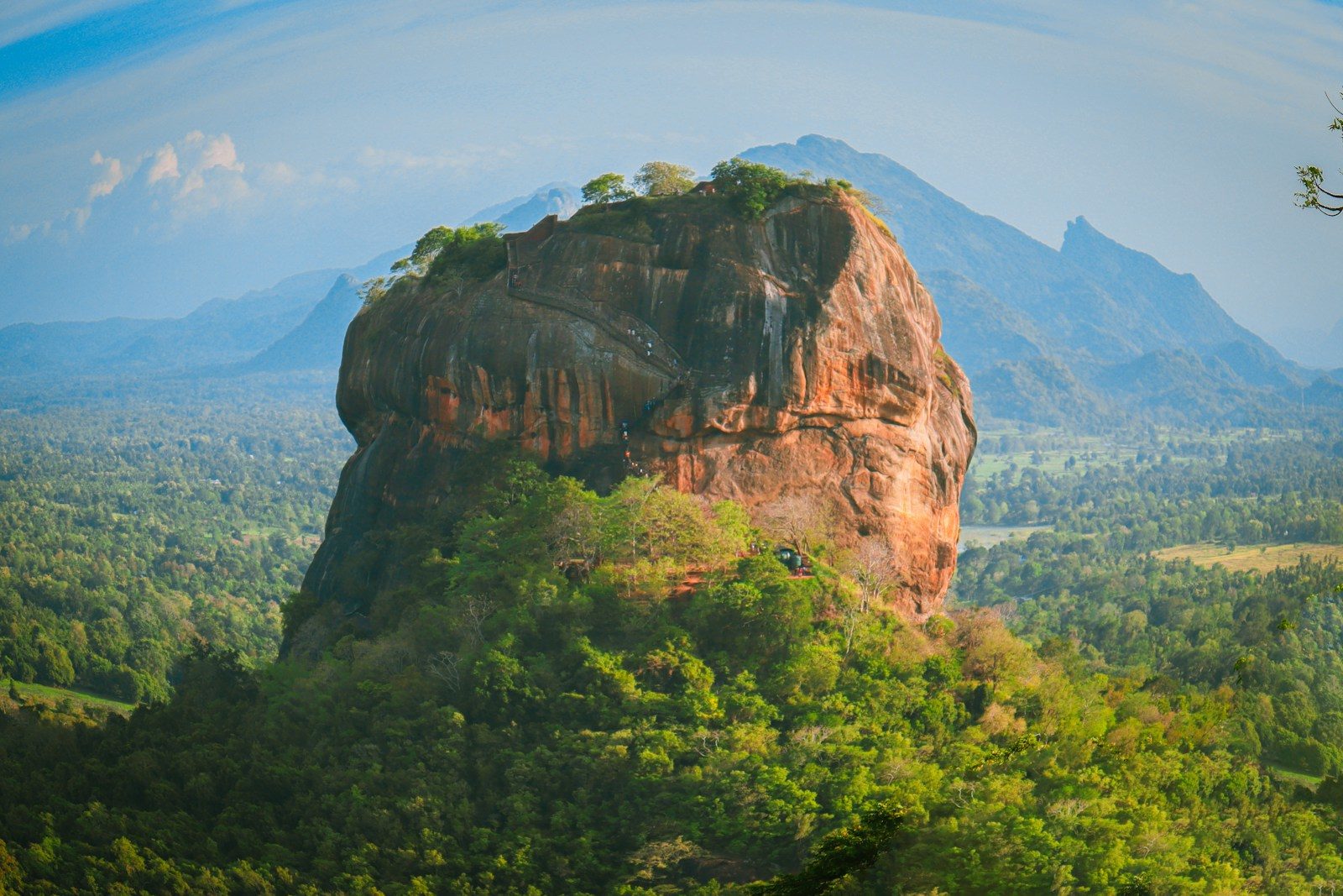 a large rock in the middle of a forest