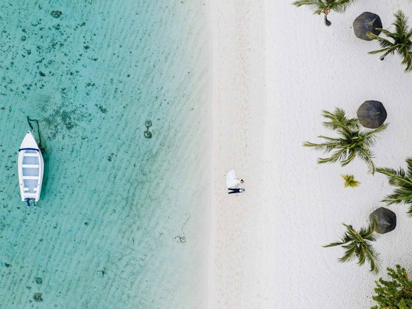 aerial view of green palm trees on white sand beach during daytime