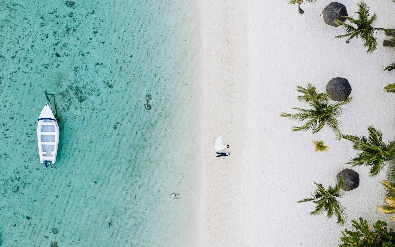 aerial view of green palm trees on white sand beach during daytime